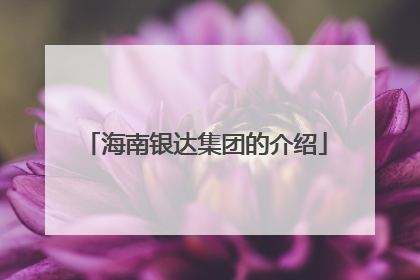 海南银达集团的介绍