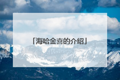 海哈金喜的介绍