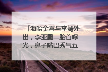 海哈金喜与李嫣外出，李亚鹏二胎首曝光，鼻子嘴巴秀气五官健全，怎么看？