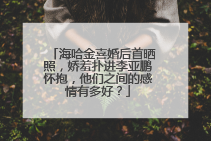 海哈金喜婚后首晒照，娇羞扑进李亚鹏怀抱，他们之间的感情有多好？