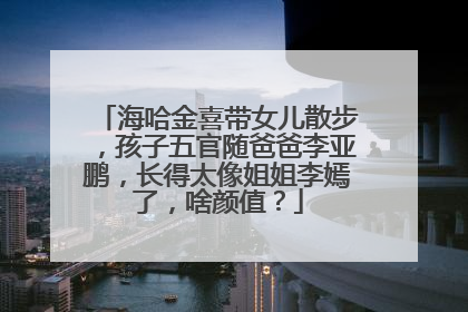海哈金喜带女儿散步,孩子五官随爸爸李亚鹏,长得太像姐姐李嫣了,啥颜值?