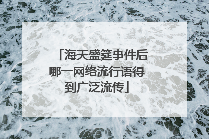 海天盛筵事件后哪一网络流行语得到广泛流传