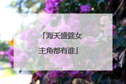 海天盛筵女主角都有谁