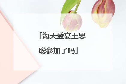 海天盛宴王思聪参加了吗