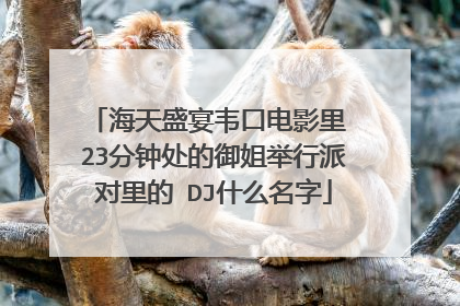 海天盛宴韦口电影里 23分钟处的御姐举行派对里的 DJ什么名字