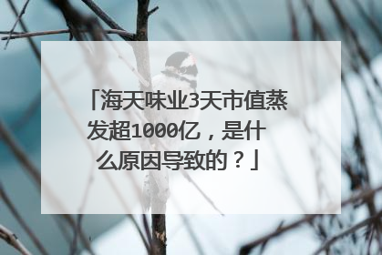 海天味业3天市值蒸发超1000亿，是什么原因导致的？