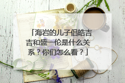海岩的儿子侣皓吉吉和盛一伦是什么关系？你们怎么看？