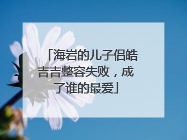 海岩的儿子侣皓吉吉整容失败，成了谁的最爱