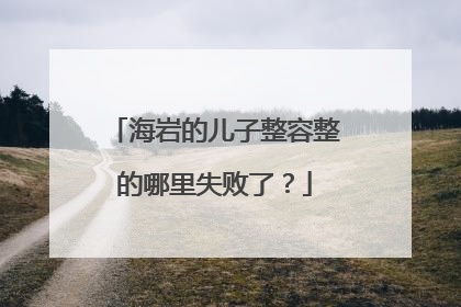 海岩的儿子整容整的哪里失败了?