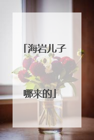 海岩儿子哪来的