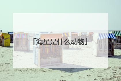 海星是什么动物