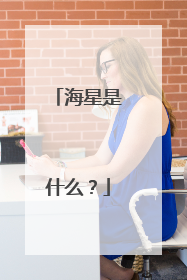 海星是什么？