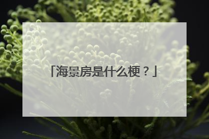 海景房是什么梗？