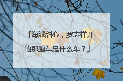 海派甜心,罗志祥开的那跑车是什么车?