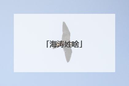 海涛姓啥