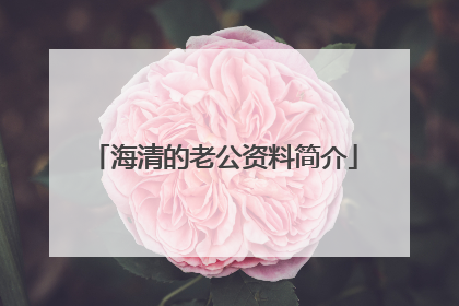 海清的老公资料简介