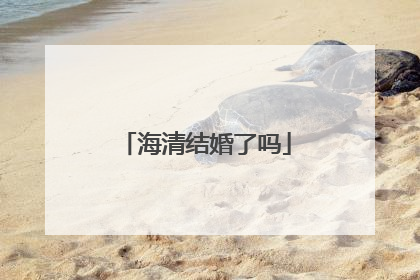 海清结婚了吗