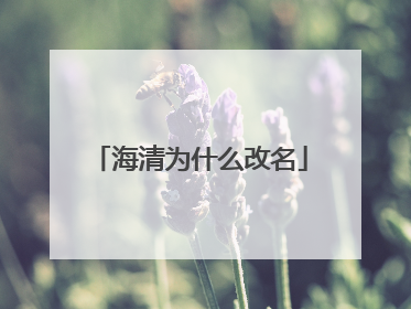 海清为什么改名