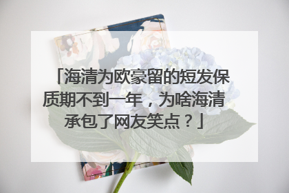 海清为欧豪留的短发保质期不到一年,为啥海清承包了网友笑点?