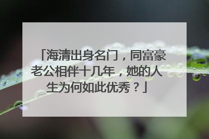 海清出身名门,同富豪老公相伴十几年,她的人生为何如此优秀?