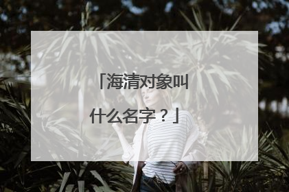 海清对象叫什么名字?
