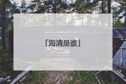 海清是谁