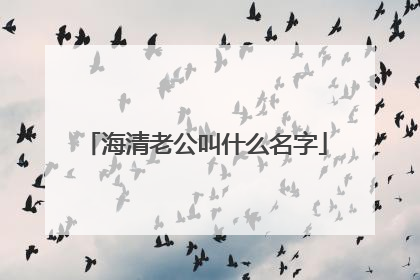 海清老公叫什么名字