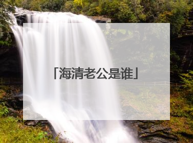 海清老公是谁