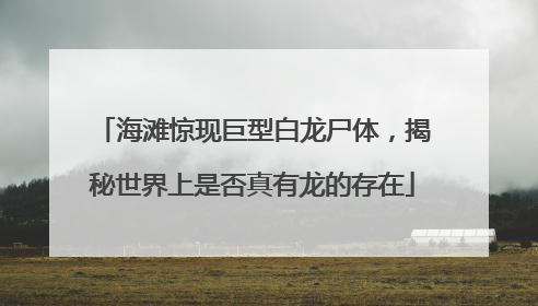 海滩惊现巨型白龙尸体,揭秘世界上是否真有龙的存在