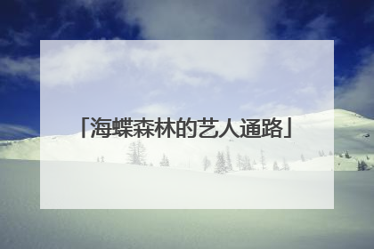 海蝶森林的艺人通路