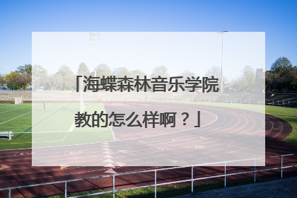 海蝶森林音乐学院教的怎么样啊？