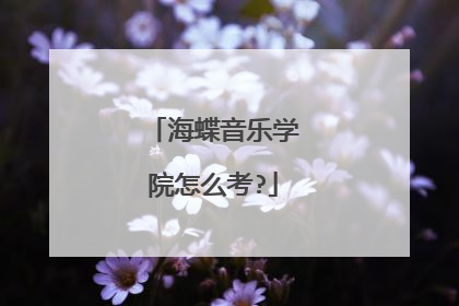 海蝶音乐学院怎么考?