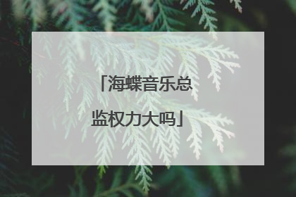 海蝶音乐总监权力大吗