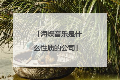 海蝶音乐是什么性质的公司