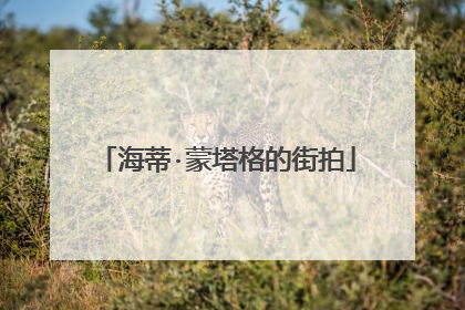 海蒂·蒙塔格的街拍