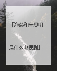 海藻和宋思明是什么电视剧