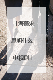 海藻宋思明什么电视剧