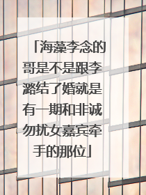 海藻李念的哥是不是跟李潞结了婚就是有一期和非诚勿扰女嘉宾牵手的那位