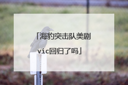 海豹突击队美剧vic回归了吗