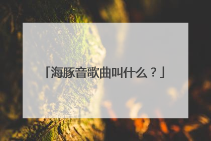 海豚音歌曲叫什么?