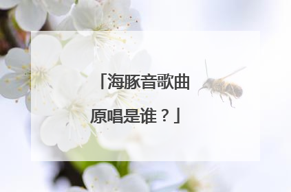 海豚音歌曲原唱是谁?