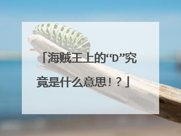 海贼王上的“D”究竟是什么意思!?
