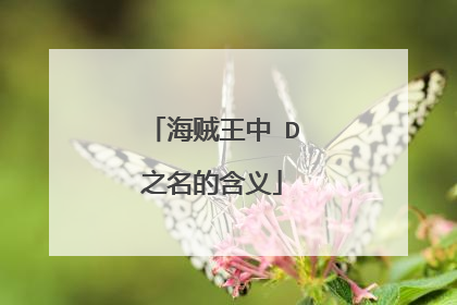 海贼王中 D之名的含义