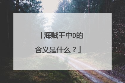 海贼王中D的含义是什么?