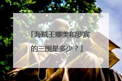海贼王娜美和罗宾的三围是多少?