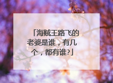 海贼王路飞的老婆是谁，有几个，都有谁?