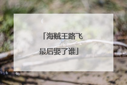 海贼王路飞最后娶了谁