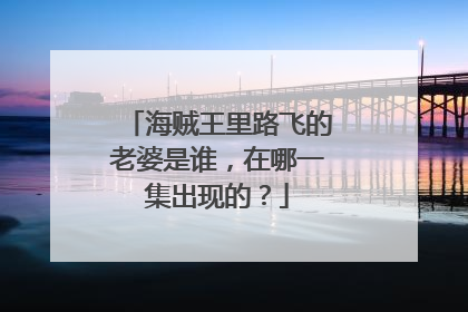 海贼王里路飞的老婆是谁，在哪一集出现的？