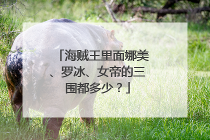 海贼王里面娜美、罗冰、女帝的三围都多少?