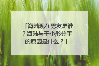 海陆现在男友是谁？海陆与于小彤分手的原因是什么？